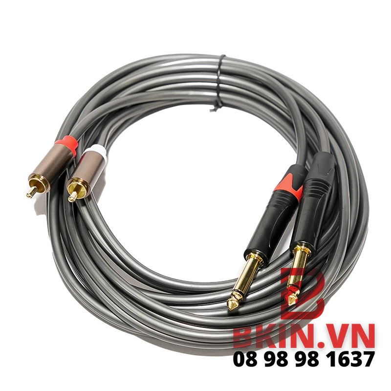 Dây Cáp Âm Thanh 6ly Ra RCA Bông Sen