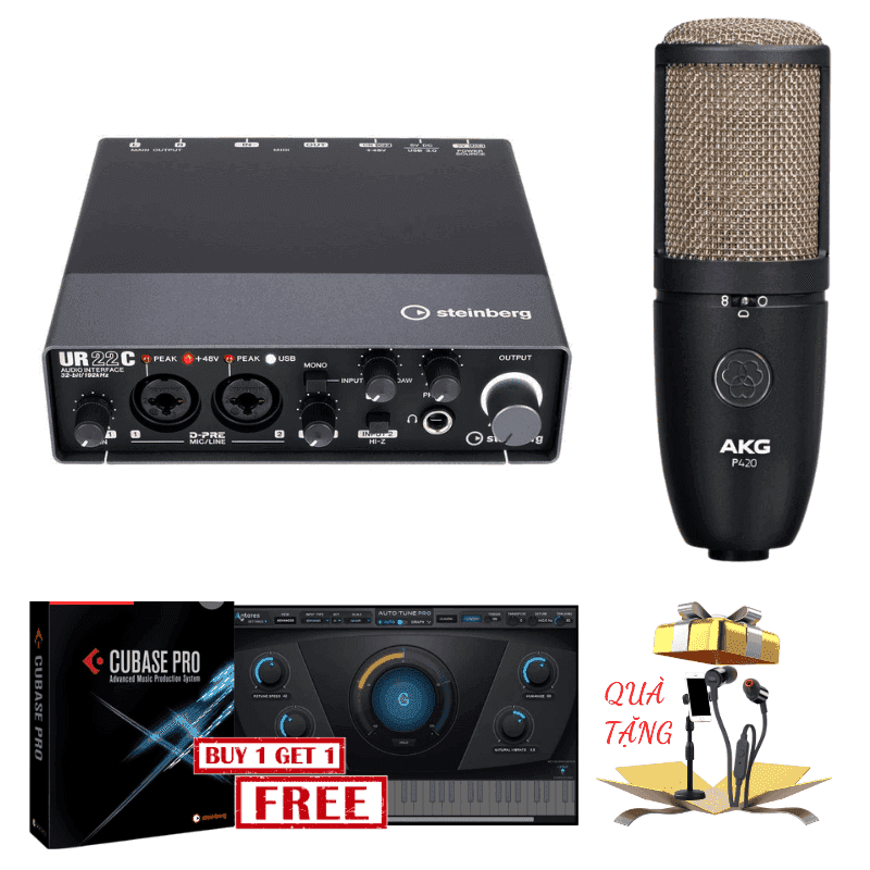 Combo Steinberg Ur22c Micro AKG P120